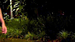 Better Than Tinder - She Got Rizzed in the Park and Fucked Hard