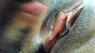 Hot house wife yummy pussy licking