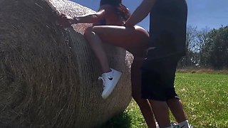 prise contre une botte de paille