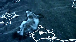 Cremige deutsche MILF-Muschi - Nippel und Tittenspiel