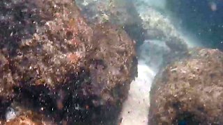 Blonde amateur milf does anal on pov camera 11