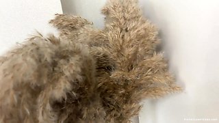 Lady with bubble butt loves sucking and fucking in front of the camera