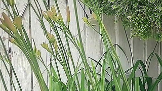 Gardend Outside Pissing Fun