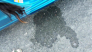 Nerdy Faery Goes Pee