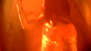 Natya Shastra Belly Dance Seduction