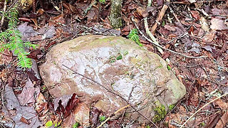 pussy pissing  water on the rock