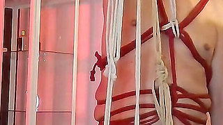 Mistress Acanthus and Slave Sissy Shibari