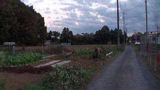 A123g05 Mature Women Working on the Farm Are Interviewed on TV Shows and Picked up to Invite Them to Their Rooms!