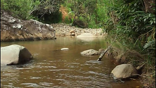 Looking for Where to Fuck in the River