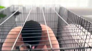 Lord Goddess Maria - Say Hello To Master: Open Both Holes