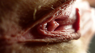 POV Facesitting Riding Your Face with My Beefy Pussy