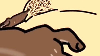 Married Bitch Sucks BBC and Gets Fucked in a Hawaii Hotel