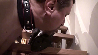 Pet played slave worships femdoms shoes