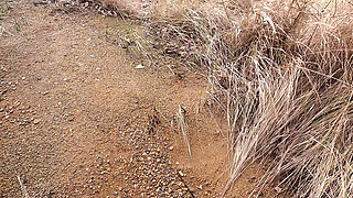 Naked Tits on the Industrial Plant