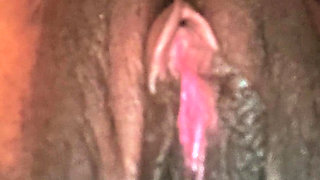 All My Pussy