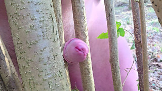 Horny alone in the forest, a hazel bush gets popped