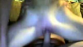 Hot Couple's 69 and Tit Fuck Show