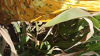 I Fucked My Stepsister in Law in the Corn Field