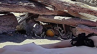 Risky Blowjob on the Canary Beach Caught with Intense Orgasm P2 - Misscreamy