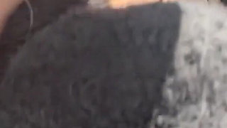 Would You Let Me Drive You Around Like This