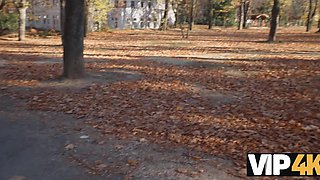 Pretty babe agrees to fuck for money