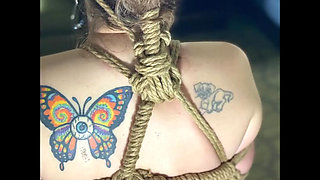 Panty, Bikinis, Tits & Suzy Wylde Circa 2013 - 2023