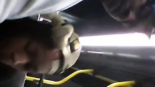 Brain's Blowjob on the Bus