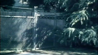 Classic Porn Dvds: Weekend Cowgirl: Part 5