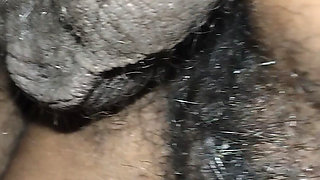 Desi Bhabhi XXX Video