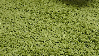 I Piss on His Carpet