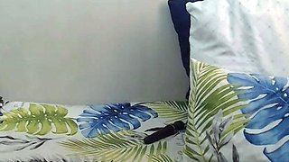 CIMA black and ebony