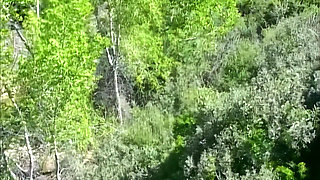 When the Cock Got to Mars...