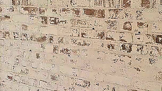 Human Toilet Humiliation HD