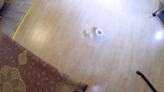 Sexy amateur extreme self fisting fetish masturbation