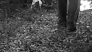 Pet Girl Obedience Training