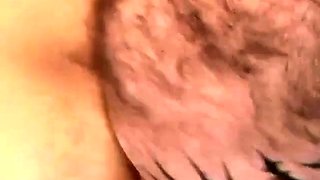Hairy Bears Flip Fuck