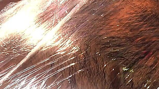 The Encounter Featuring Arabelle Raphael, Draven Navarro