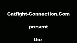Contest of Alpha Females