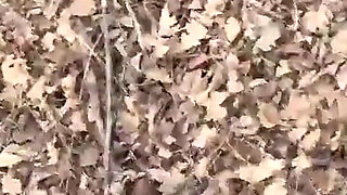 Stripping Naked and Getting Fucked in the Forest
