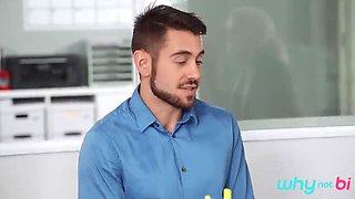 Blonde MILF Brooke Paige & Dante Colle in Raw Office Threesome Job Interview