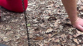 Punishment in the Forest...