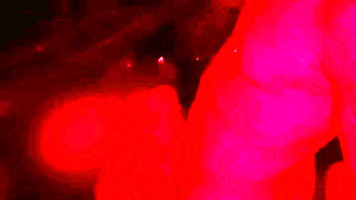 fucking with the neighbor