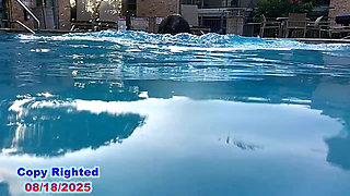 Wet Wild Fun in the Sun Full Video