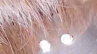 Mayu No63, Deepthroat, Striped Panties Sailor Clothes, Anal Tail