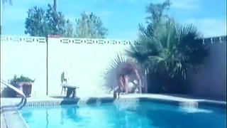 Classic Porn Dvds: the Younger the Better: Part 3