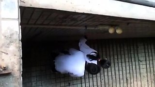 Real Homemade Amateur Hidden Cam 1
