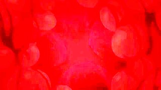 Mysterious Seductive Illusion_100424p0001