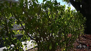 Inked petite teen Kali Roses adult scene