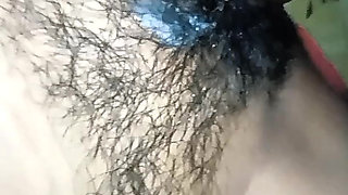 Album Collection 2025