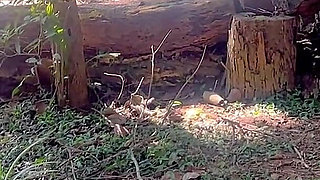 Wifebucket Amateurs - My GF and Her GF Doing Tricks on My Cock